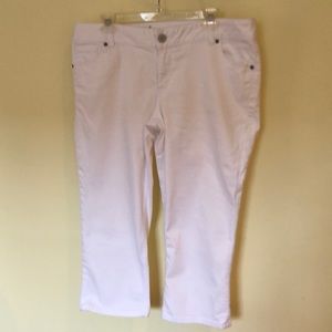 Capri from Lane Bryant size 16